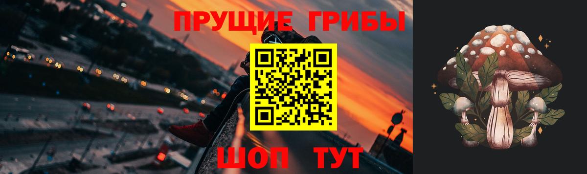 Галлюциногенные грибы Psilocybe Туймазы
